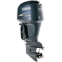 Yamaha F225UCA